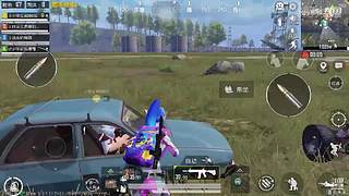 关注领取软糯香甜小萌柚