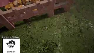 电影级画质，睡眠直播。~