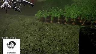 电影级画质，睡眠直播。~