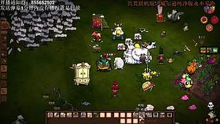 今晚饥荒甜蜜双排