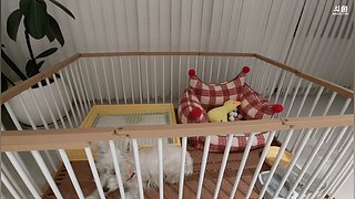 祝大家每天都有好运嘞~