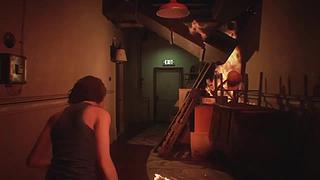 啥也不懂的萌新主播 8553831