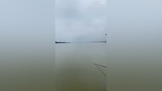 亮gnailux的直播间