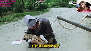 最氪金游戏是什么