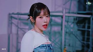 风又摇醒昨夜的梦