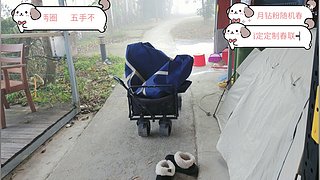 【非常757】最强书法生果子勇闯户外
