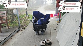 【非常757】最强书法生果子勇闯户外