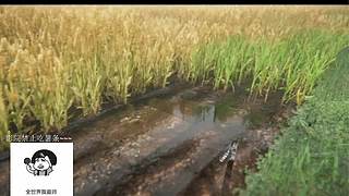 电影级画质，睡眠直播。~