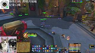 打闪电战我有自己的想法,你别给我汪汪叫