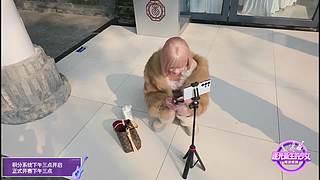 首届斗鱼家族选秀综艺，盛大开幕！