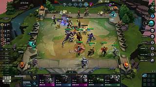 斗魂竞技场小斗士