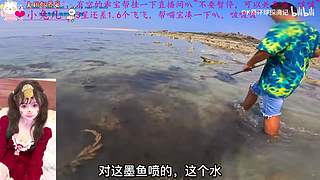 一个打的不错的御姐OvO