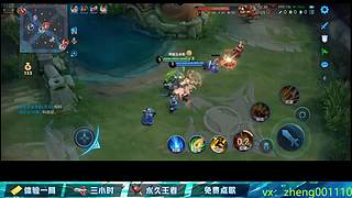 国服野射有车位  可帮打