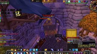 宠物收集之旅！世界各地稀有宠物捕捉