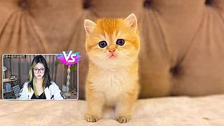 九点准时直播下雪