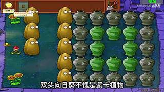 宝子们，开席了！