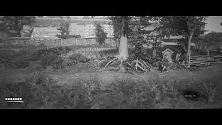 深入阿加莎波洛的本质