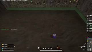 杨果果不是宝宝