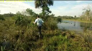 荒野求生，带大家体验不一样的生活