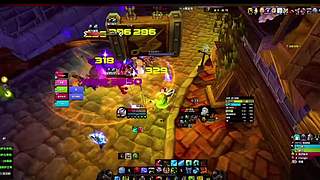 宠物对战全连胜！天梯不败战绩