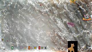 【小白鸽】继续检查僵尸身体咯~