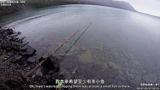 贝爷纪录片 点播，点播单，在鱼吧置顶！