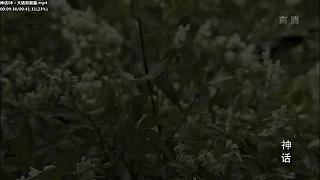 【胡椒粉的胡歌】 你清高，你了不起！