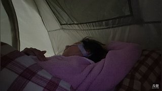 去带狗洗个澡，下午五点前开