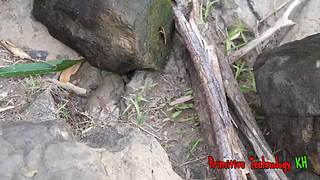 欢乐猴群纪录片