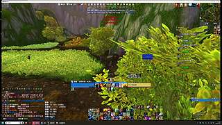 爱抓灵魂兽的boy