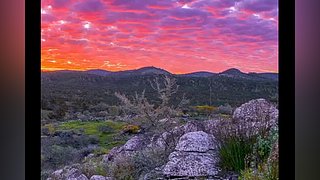 不羡鸳鸯不羡仙啊