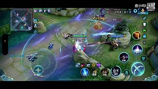 无需鸟标证明 10040721