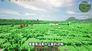 充满沙雕气息的直播间