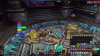 德鲁伊变熊卡形态！只能站着挨揍