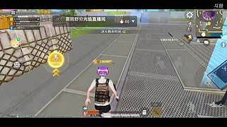 和平精英狗分 11394682