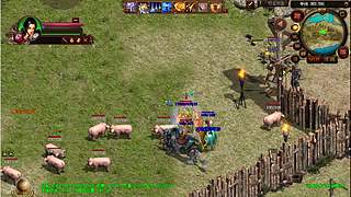 铁血一区  马年吉祥、万事如意！