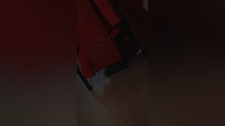 哥几个又来看美女了啊，上头了上头了~