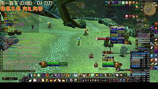 襄城麦哥的魔兽世界日常