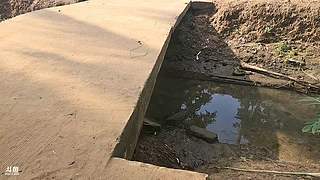 斯里兰卡再出发day4