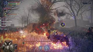 【直播】新人主播多多关照