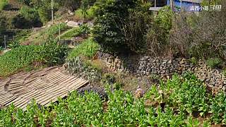 滇西小哥的美食视频