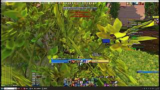 爱抓灵魂兽的boy