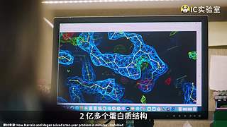 硬核时事评论家