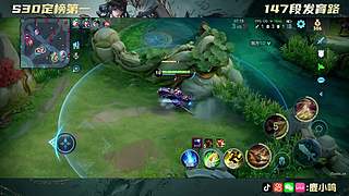 无需鸟标证明 10040721