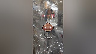 带你一起逛秋叶原