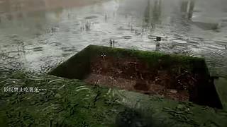 电影级画质，睡眠直播。~