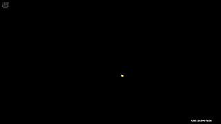 小彩笔的日常 528295