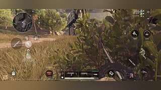 四年呀的直播间