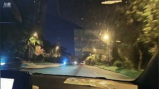 鹅导（团）开业海南陵水篇