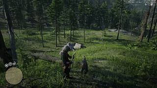 荒野大镖客2---100%完成度